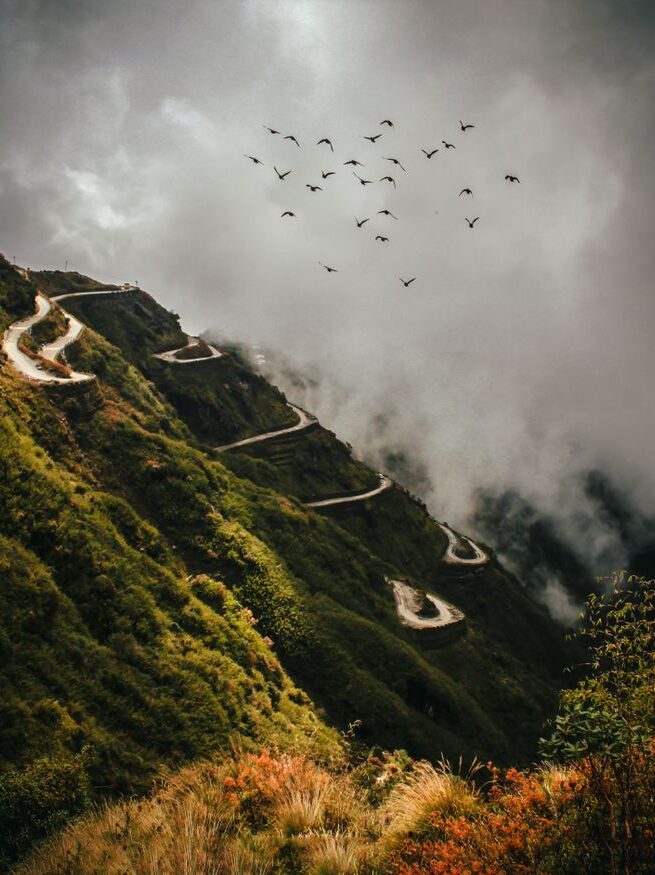A dramatic view of a winding mountain road surrounded by lush greenery and a flock of birds under a cloudy sky.
